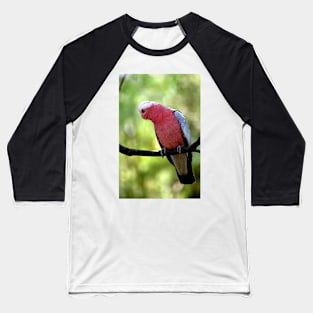 Galah Baseball T-Shirt